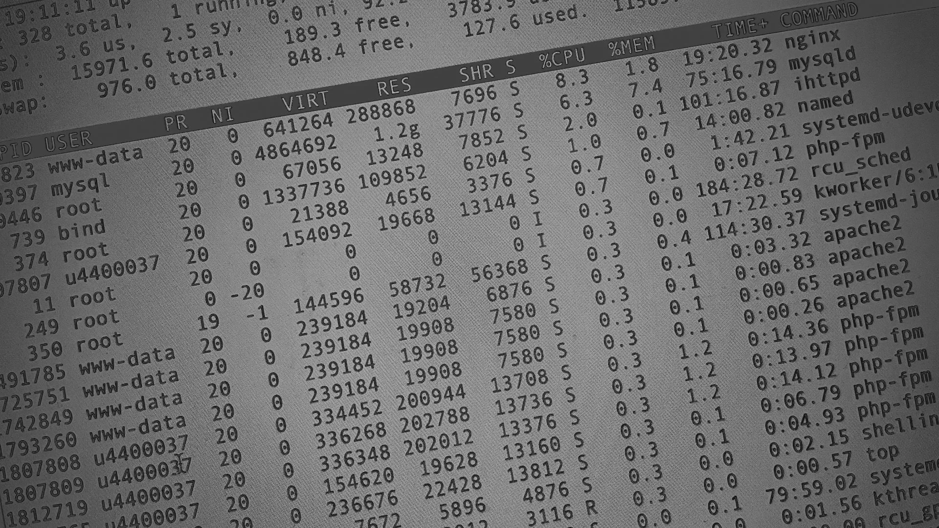 Настройка сервера в Абакане Настройка сервера в Абакане