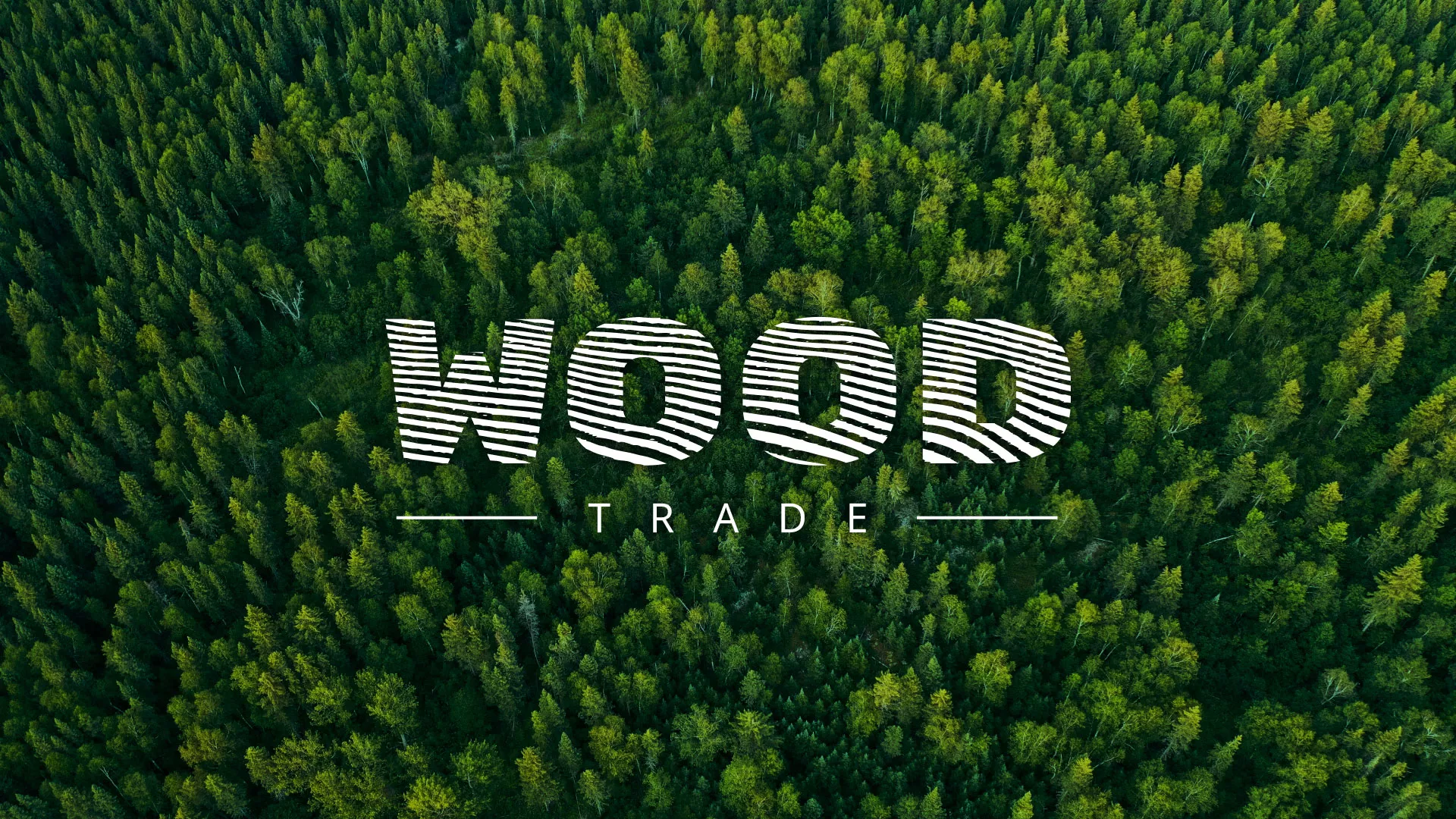 Разработка интернет-магазина компании «Wood Trade» в Абакане