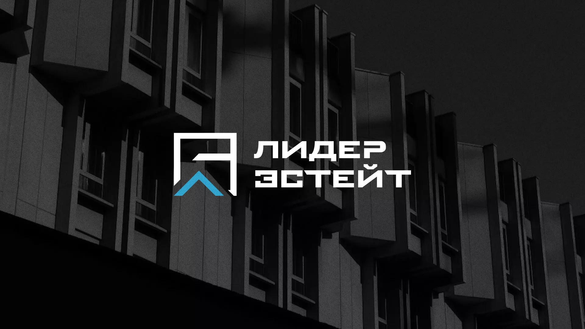 Разработка логотипа агентства недвижимости «Лидер Эстейт» в Абакане